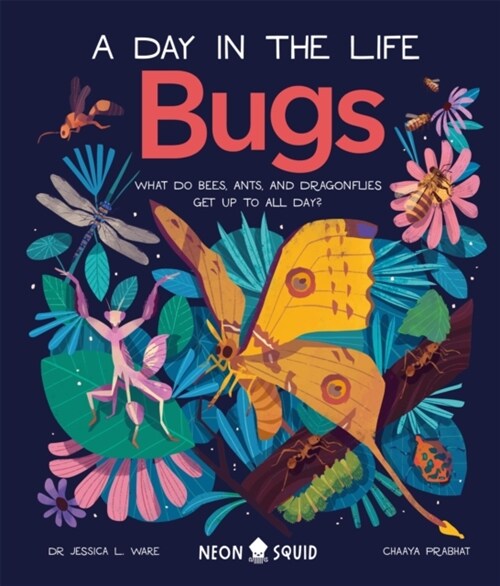 Bugs (A Day in the Life) : What Do Bees, Ants, and Dragonflies Get up to All Day? (Hardcover)