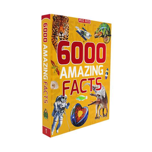 6000 Amazing Fats (Hardcover)