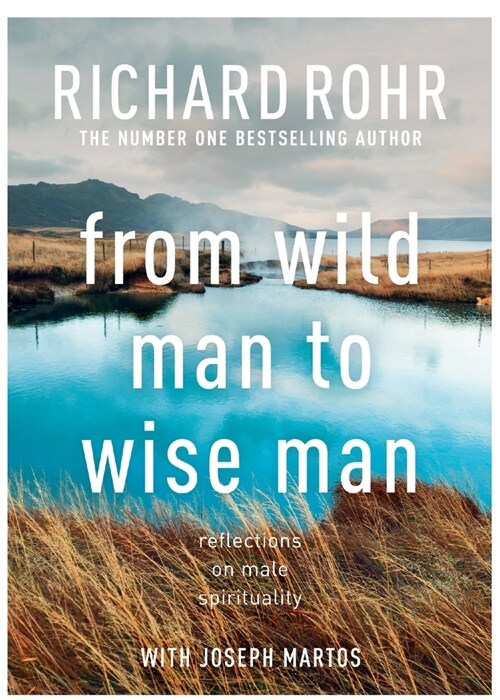 From Wild Man to Wise Man : Reflections on Male Spirituality (Paperback)
