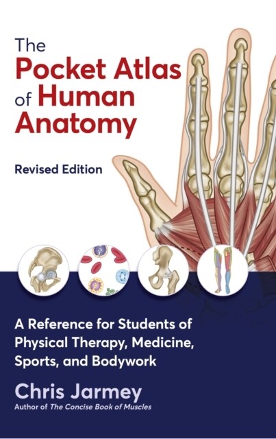 The Pocket Atlas of Human Anatomy : A Reference for Students of Physical Therapy, Medicine, Sports, and Bodywork (Paperback, Revised ed)