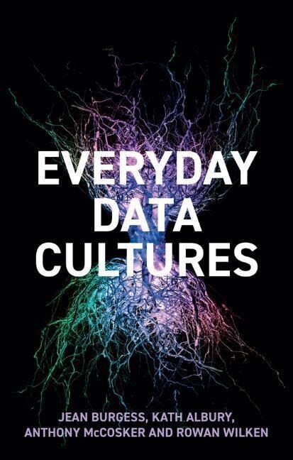 Everyday Data Cultures (Paperback)