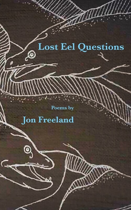Lost Eel Questions (Paperback)