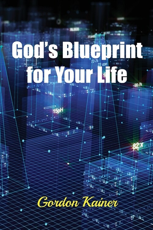 Gods Blueprint for Your Life (Paperback)