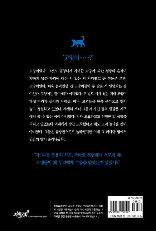 파란 고양이 : 이선주 소설
