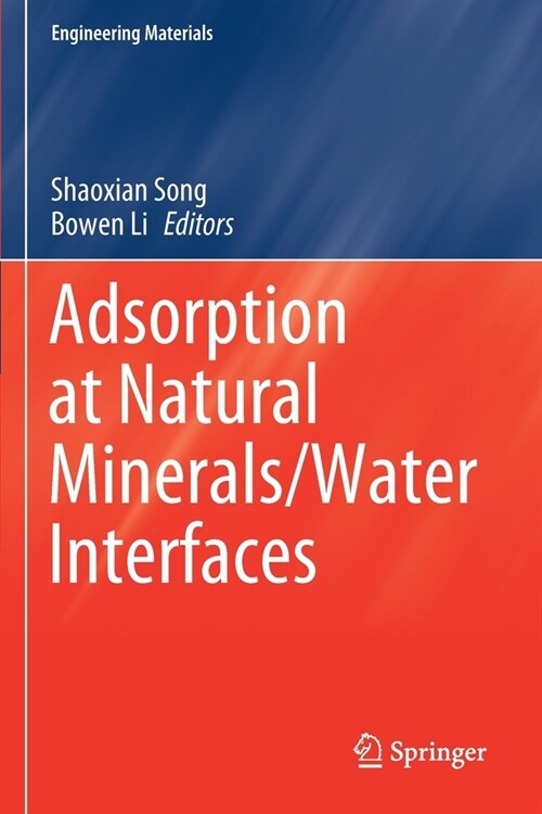 Adsorption at Natural Minerals/Water Interfaces (Paperback)