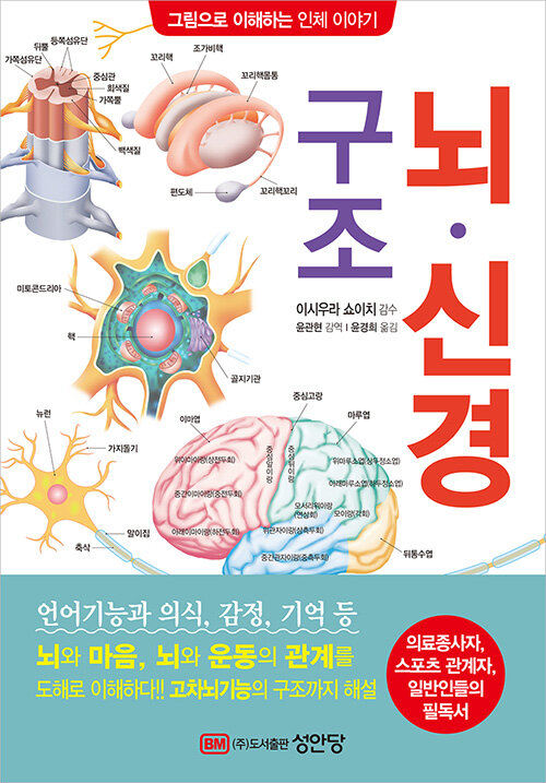 [중고] 뇌·신경 구조