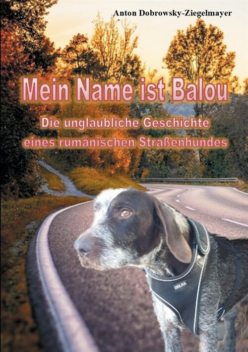Mein Name ist Balou: Die unglaubliche Geschichte eines rum?ischen Stra?nhundes (Paperback)