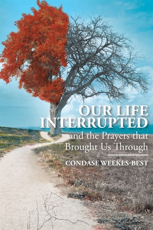 Our Life Interrupted: And the Prayers That Brought Us Through (Paperback)