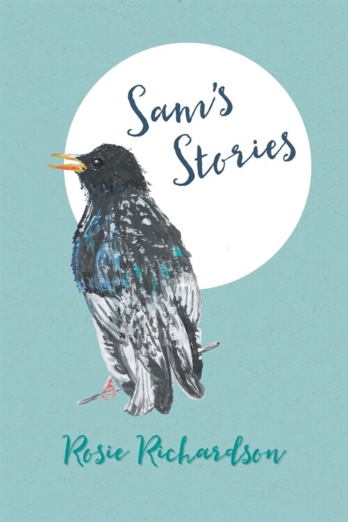 Sams Stories (Paperback)