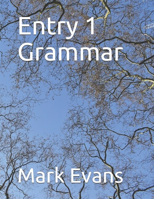 Entry 1 Grammar (Paperback)