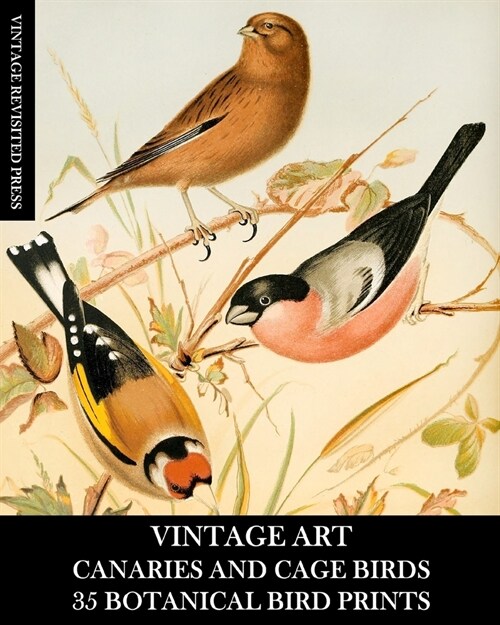 Vintage Art: Canaries and Cage Birds 35 Botanical Prints: Ephemera for Framing, Decoupage, and Mixed Media (Paperback)