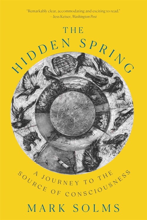 The Hidden Spring: A Journey to the Source of Consciousness (Paperback)