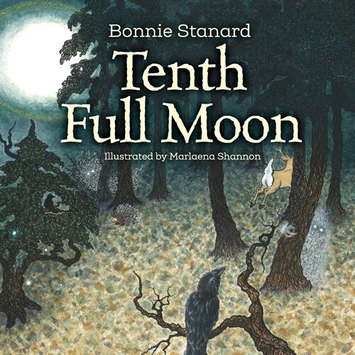 Tenth Full Moon (Paperback)