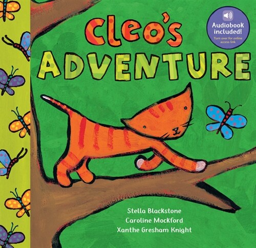 Cleos Adventure (Board Books)