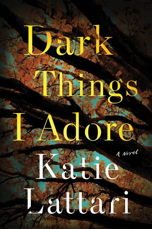 Dark Things I Adore (Paperback)