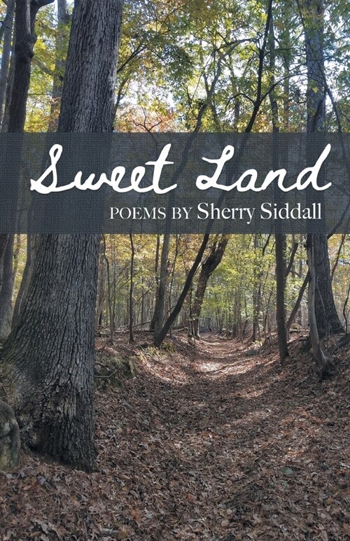 Sweet Land (Paperback)
