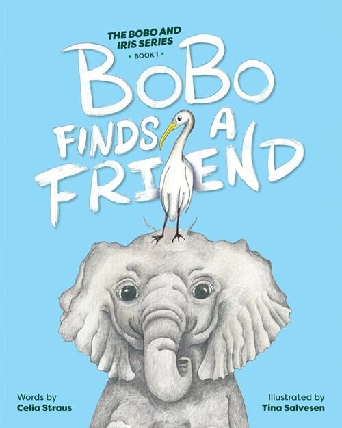 BoBo Finds A Friend (Paperback)