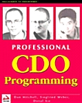 Professional Cdo Programming (Paperback)