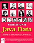 [중고] Professional Java Data