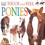 [중고] Touch and Feel : Ponies (Boardbook)