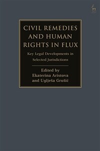 Civil remedies and human rights in flux : key legal developments in selected jurisdictions