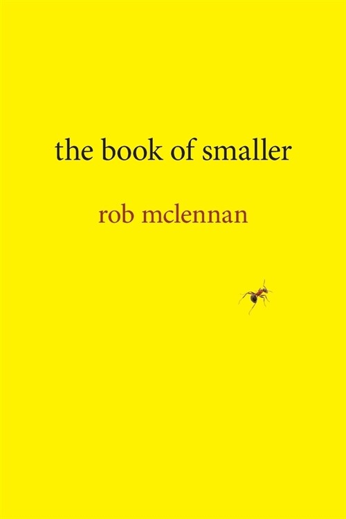 The Book of Smaller (Paperback)