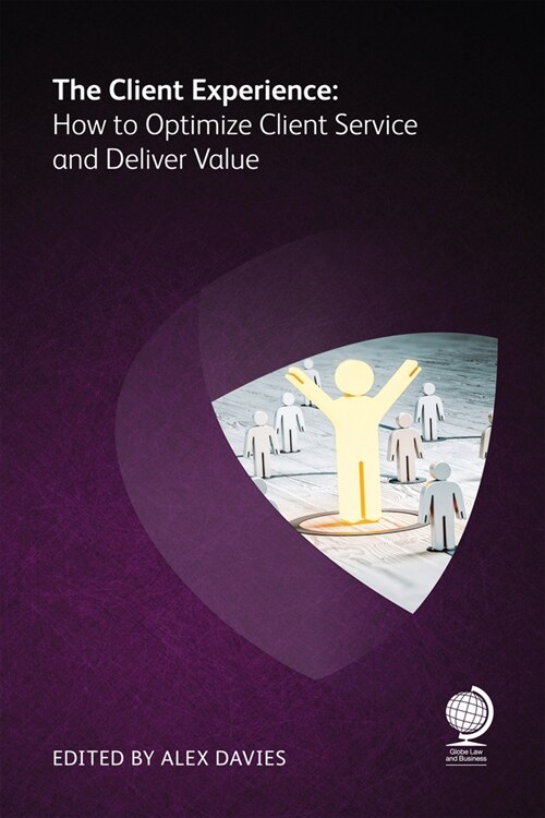 The Client Experience : How to Optimize Client Service and Deliver Value (Paperback)