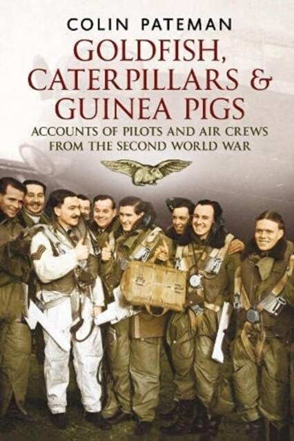 Goldfish Caterpillars & Guinea Pigs : Accounts of Pilots and Air Crews from World War II (Paperback)