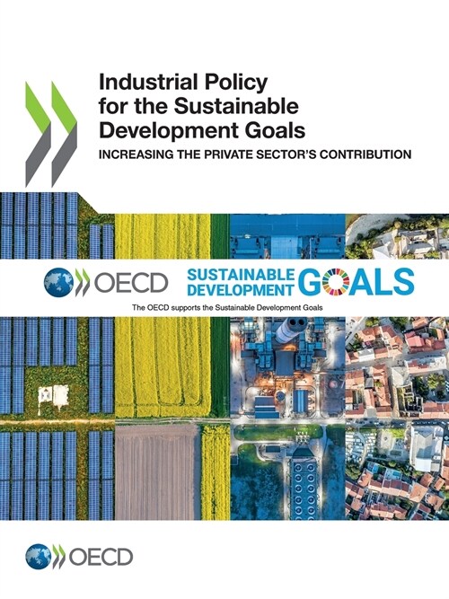 Industrial Policy for the Sustainable Development Goals (Paperback)