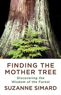Finding the Mother Tree: Discovering the Wisdom of the Forest (Paperback)