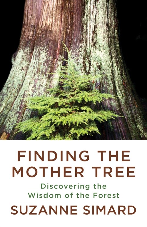 Finding the Mother Tree: Discovering the Wisdom of the Forest (Paperback)