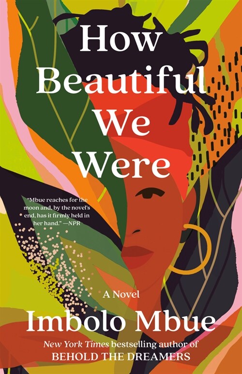 How Beautiful We Were (Paperback)