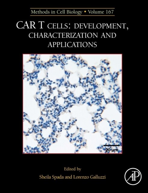 MCB: CAR T Cells: Development, Characterization and Applications (Hardcover)