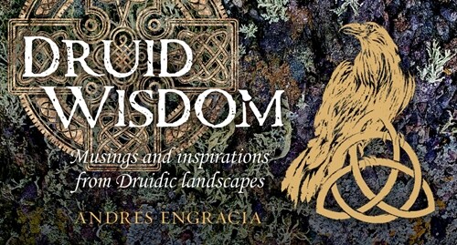 Druid Wisdom (Other)