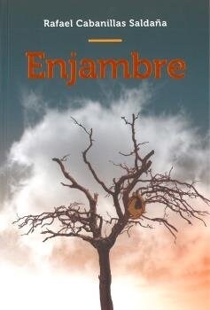 ENJAMBRE (Paperback)