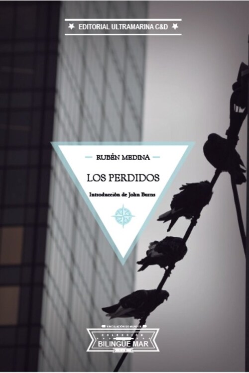 Los perdidos / The Lost Ones (Hardcover)