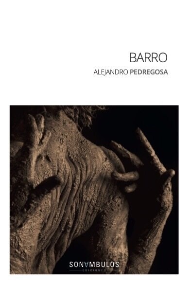 BARRO (Paperback)