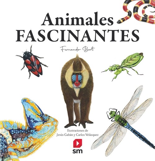 Animales fascinantes (Paperback)