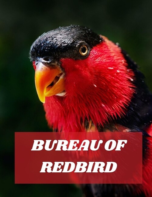 Bureau of Redbird (Paperback)