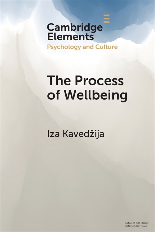 The Process of Wellbeing : Conviviality, Care, Creativity (Paperback, New ed)