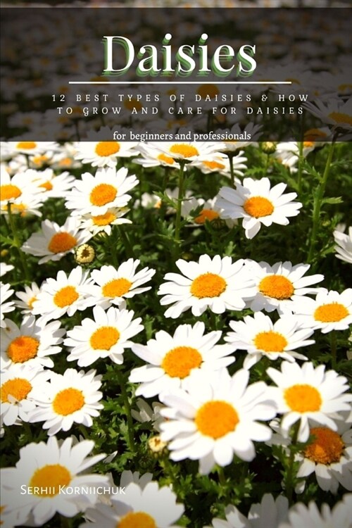 Daisies: 12 Best Types of Daisies & How tо Grow аnd Care for Daisies (Paperback)