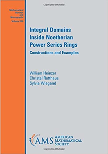 Integral Domains Inside Noetherian Power Series Rings : Constructions and Examples (Paperback)