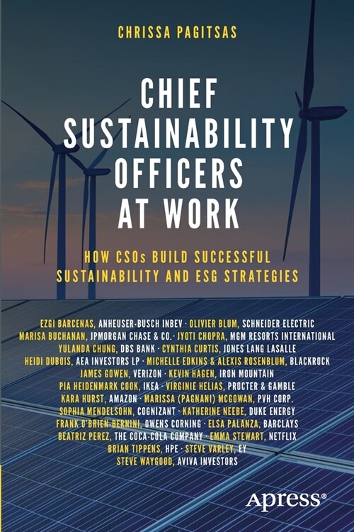 [중고] Chief Sustainability Officers At Work: How CSOs Build Successful Sustainability and ESG Strategies (Paperback)