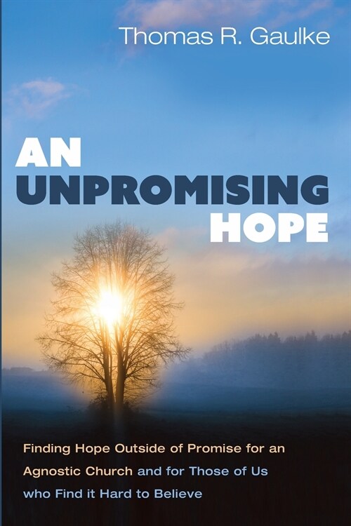 An Unpromising Hope (Paperback)