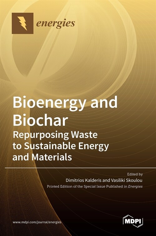 Bioenergy and Biochar: Repurposing Waste to Sustainable Energy and Materials (Hardcover)