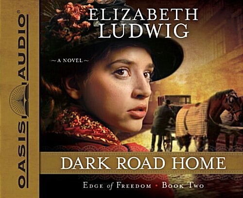 Dark Road Home (Audio CD, Library)