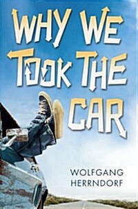 Why We Took Car (Hardcover)