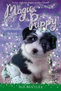 Spellbound at School (Paperback)