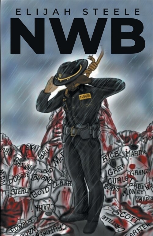 NWB (Paperback)