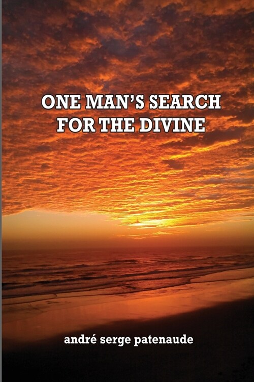 ONE MANS SEARCH FOR THE DIVINE (Paperback)